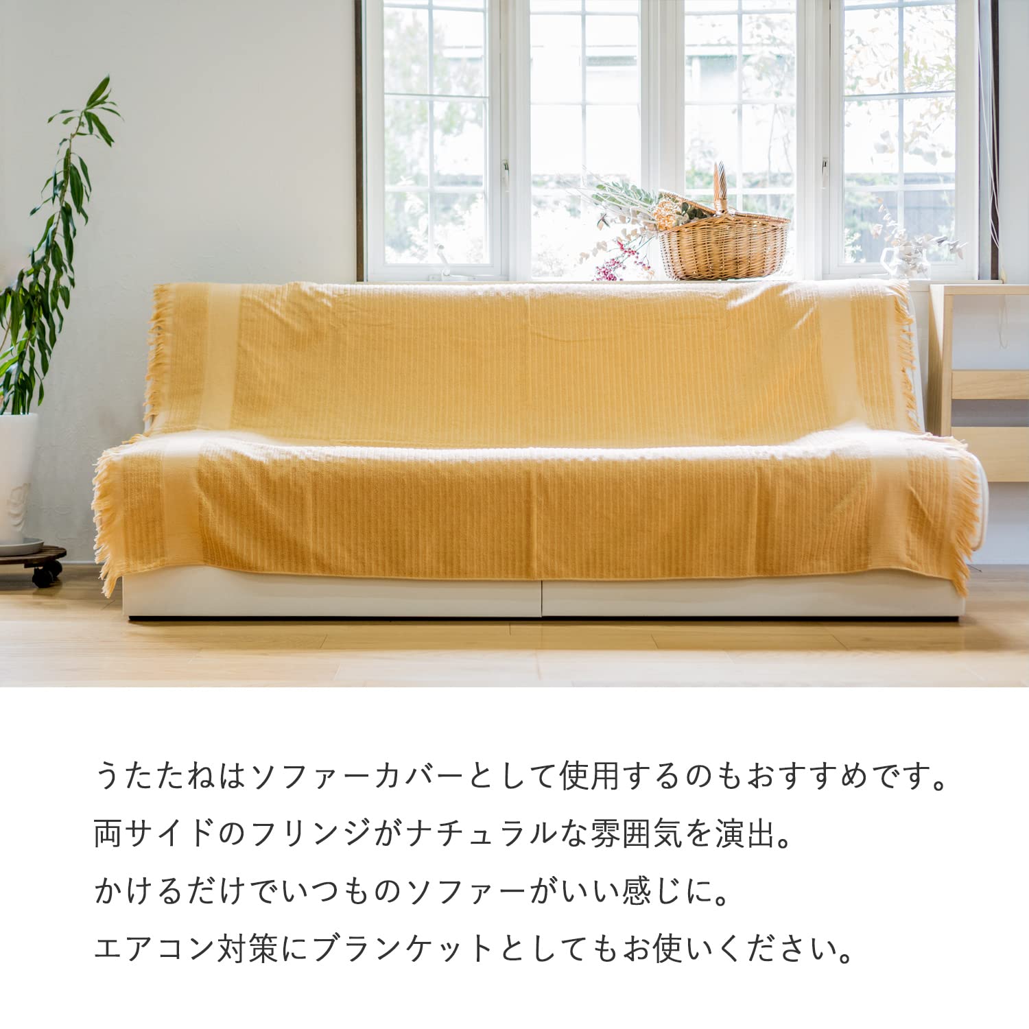 Amazon｜[oruta] 今治産 タオルケット マルチカバー うたたね 今治